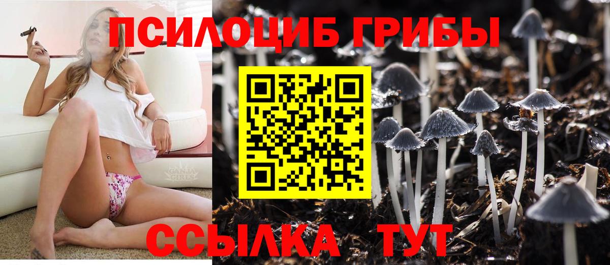 Псилоцибиновые грибы ЛСД  Вход с VPN  Псилоцибиновые грибы мицелий  Десногорск 